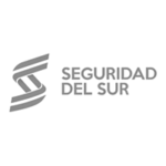 seguridad-del-sur